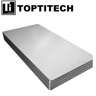 A placa de titânio porosa sinterizada da TopTiTech
